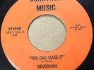 Devoshun ELECTRONIC DISCO SOUL 45 You Can Make It on Minotaur Music Label HEAR