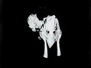 Sigur Ros - Kveikur Deluxe Vinyl LP Set (2LP + 10