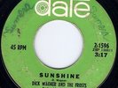 HEAR Dick Wagner And The Frosts-Sunshine '67 MI AWESOME punkadelic masterpiece