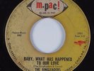 Northern Soul 45 RINGLEADERS Baby, What Has Happened To Our Love M-PAC HEAR