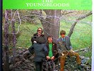 YOUNGBLOODS EARTH MUSIC 2nd ALBUM VERY RARE ORIG '67 RCA VICTOR MONO LP 1S NM