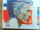 DAVID BOWIE FASHIONS 10 PICTURE DISC SET w/BOOKLET *RARE*
