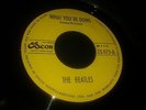 THE BEATLES-WHAT YOU'RE DOING-RARE COSTA RICA SINGLE -MINT