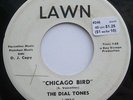DIAL TONES LINK WRAY: CHICAGO BIRD / SO YOUNG - NM ROCKABILLY GARAGE PROMO 45rpm