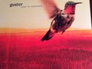 2 Guster Vinyl Lps Sealed - Ganging Up On The Sun And Keep It Together