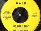 Psych Soul THE LEATHER SOUL How Does It Feel Take Me Back WALD MP3 LISTEN