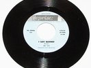 RAL DONNER: I Got Burned/ A Tear In My Eye ROCKABILLY NM RARE CANADA 45