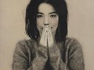 Debut Bjork UK vinyl LP album record TPLP31 ONE LITTLE INDIAN 1993