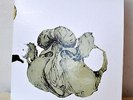COIL Ape Of Naples/New Backwards 4LP TEST PRESSING Box Set LE 12 Etched Reverse