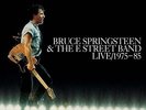 Bruce Springsteen & The e Street Band Live 1975-85 Box 5 LP`s