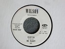 TEFTELLER Garage Rocker The Felicity Hurtin Wilson 101 Promo M- Hear Sample