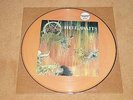 SLAYER-Hell Awaits PICTURE LP Metal Blade 1985 us press