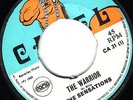 THE SENSATIONS/SKINHEAD REGGAE/CAMEL CA31/1969/THE WARRIOR - DON JUAN ..LISTEN