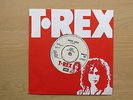 T REX Metal Guru UK 7