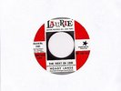 Northern Soul 45 Hoagy Lands 