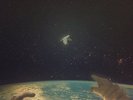 FANFARLO - LET'S GO EXTINCT - NEW VINYL LP ALBUM