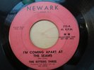 Northern Girlgroup 45 KITTENS THREE I’m Coming Apart at the Seams NEWARK Listen