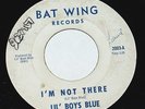 Lil' Boys Blue 45 rare garage punk 1965 BFTG 