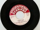 LEE ANDREWS & THE HEARTS Try The Impossible / Nobody's Home ML452 CASINO Doo Wop