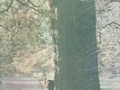 John Lennon Plastic Ono Band Original Apple SW 3372 LP VG++ In Shrink Beatles