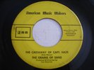 The Grains of Sand The Castaway of Capt. Haze 1967 45rpm PSYCH