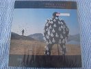 Pink Floyd ?– Delicate Sound Of Thunder -LIVE- VINYL LP-1988