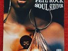 Pete Rock - Soul Survivor * 2 LP Vinyl * HIP HOP + RAR