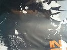 ORIG 1970S DUB LP