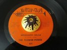 THE FLOWER POWER - MISSISSIPPI DELTA - VERY RARE RURAL PSYCH 45 TUNE KEL PRIVATE