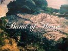 BAND OF HORSES AUTOGRAPHED VINYL MIRAGE ROCK and 