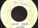 THE UPSETTERS  BUCKY SKANK  JA ORIG  LEE PERRY DIVINE MADNESS HIS FINEST
