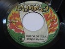 BRIGHT WYNTER - WORDS OF FIRE RARE FULFILMENT OF PROPHECY ROOTS 45