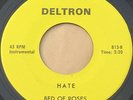 Michigan Garage 45 - BED OF ROSES - Hate / Don't Believe You - DELTRON Near Mint