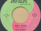 Rare Toledo Ohio Garage 45 - EYE ZOOMS - She's Gone - ATILA
