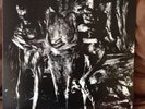 Nurse With Wound Vinyl LP Insect & Individual Silenced (1981), UK, NM