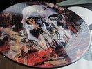 SLAYER        - SOUTH OF HEAVEN -   UNGESPIELTE / UNPLAYED PICTURE LP