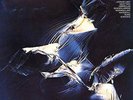 ORGM | Weather Report -  Weather Report 2LP (45rpm)