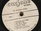 BURNING SPEAR - ORIGNAL JA SILK SCREEN COXSONE LP RARE  Studio One