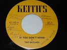 THE GAYLADS - IF YOU DON'T MIND - 7