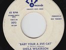 Funk Soul 45 - Sheila Wilkerson - Baby Your A Jive Cat - RFT - mp3