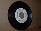 DION DIMUCCI REL.: DEL SATINS; FEELIN' NO PAIN & WHO CARES; MINT- W.L. PROMO 45