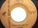 NORTHERN 45-ANTHONY & AQUA LADS-I REMEMBER on GOLD BEE M-