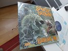 SAVOY BROWN LOOKING IN 1970 MINT UK DERAM TOP RARITÄT