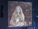 Mama Lion-Preserve Wildlife-Family Productions-Semi-Nude Cover-Rock/Blues LP