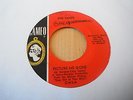 EVIE SANDS - PICTURE ME GONE - CAMEO
