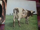 PINK FLOYD ATOM HEART MOTHER uk  harvest RARE 1ST PRESS 1970 
