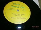 acetate ep peter and the hustlers 1960s beat group,rolling stones link