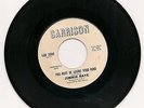 JIMMIE RAYE - YOU MUST BE LOSING YOUR MIND / FOR THE SAKE OF LOVE