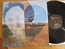 NEIL YOUNG - 2009 - 