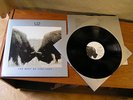 U2 The Best Of 1990-2000 orig vinyl 2LP EX/VG+ 2002 063 361-1 Island